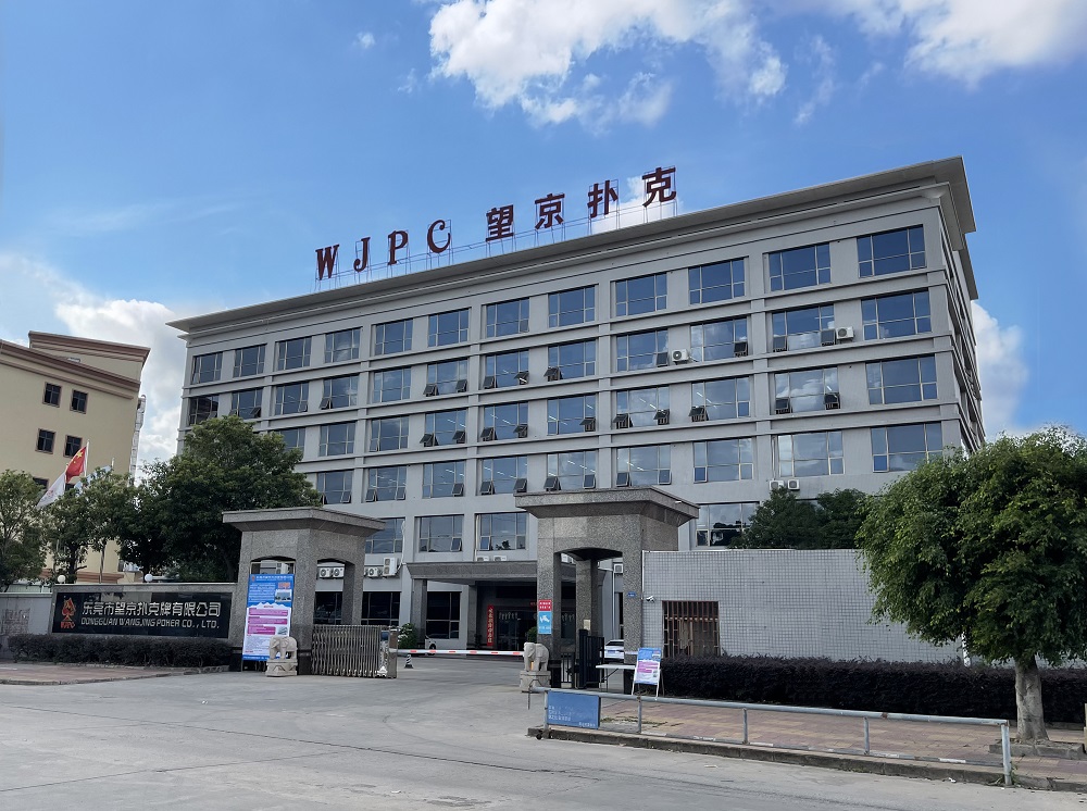 司：以创新与实力引领卡牌行业发展麻将胡了广东望京卡牌科技有限公(图6)